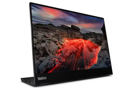 (<tc>새로운</tc>) Lenovo ThinkVision M14t Gen 2 14" 휴대용 IPS 터치 디스플레이, 1500:1, 6-8ms, 2240x1440, 300니트, 100% sRGB, USB-C*2, 틸트 스탠드, 4096 압력 레벨의 액티브 펜, ES, EPEAT 실버, 700g|PN:63FDUAR6WW