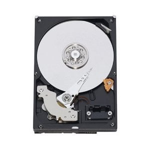 WD RE WD3001FYYG 3 TB 7200 U/min SAS 6 Gbit/s 32 MB Cache 3,5-Zoll-Festplatte Dell OEM | GEBRAUCHT