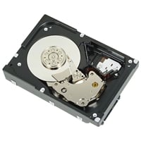 戴爾 GPP3G 1TB 7.2k sas 6Gbps 3.5 吋硬碟 |用過的 主圖