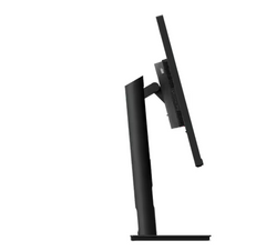 （<tc>全新行货</tc>) 联想 ThinkVision T32p-30，31.5 英寸无边框 IPS 显示屏，1000:1，4-6 毫秒，3840x2160，350 尼特，99%sRGB，2*HDMI+DP+USB-C，倾斜/旋转/升降/枢转，USB 集线器，以太网，TCO Display 9.0，ES，EPEAT Gold|Pn：63D2GAR1WW